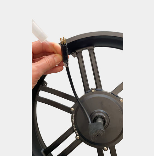 Cerchione Posteriore con Motore ruota Originale per ENGWE EP-2 Pro